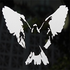 Avatar for breadstyck