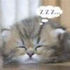 brandyyyyn さんのアバター