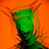 Avatar for M_Graves707
