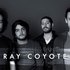 Аватар для Ray Coyote
