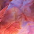 Avatar for magdasv