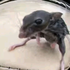 MichaelDarski 的头像