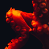 Avatar for GeOyDeS_