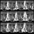 nuotio için avatar