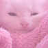 Avatar for Pinkful