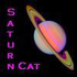 SaturnCat 的头像