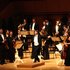 Awatar dla Wiener Mozart Orchester