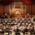 Аватар для Salomon Orchestra