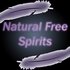 Avatar for Natural Free Spirits