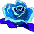 Avatar di lozrugby121