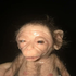 Avatar for sparkylmk