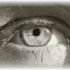 Avatar für benorina
