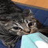 Avatar für pawjellyz