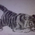 Avatar for PaperTiger1