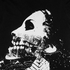 Avatar for Scaryfool