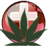 Avatar for WhatsMedicalMJ