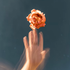 Avatar de liliwer7