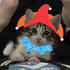 Avatar for aaronns