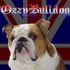 ozzybulldog için avatar