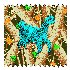 Avatar for Buoyant Sea