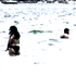 Avatar de amay111