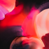 Avatar for VVVTor