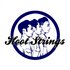 Avatar for Hoot Strings