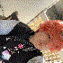 Avatar for Kittyj4sp
