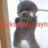 benswyma さんのアバター