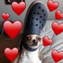 Ruelikethebible için avatar