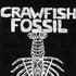 Avatar for Crawfish Fossil