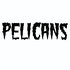Avatar for Pelicans