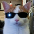 Avatar for ayumise