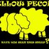 Avatar di Yellow Pecora
