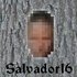 Avatar for Salvador16