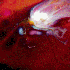 Avatar for ALUCARD176