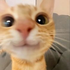 Avatar de kirraaaaZZZzzz