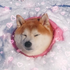 Avatar for manubogucheski