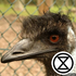 Avatar for omg_a_lcnife111