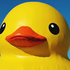 Avatar for darrentheduck