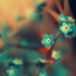 Avatar for citricxacid