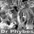 Аватар для Dr. Phybes