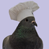 Avatar for kloporte1