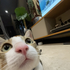 Avatar di kienan9