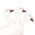 Avatar für gothgoose