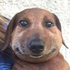 Avatar di DomLucaz