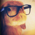 Avatar for pwnerpro