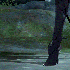 Avatar di YoungChanS2