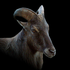 GOATSATAN için avatar