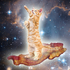 Kitkatpattywak için avatar
